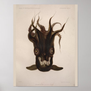 Vampir-Tintenfisch Schwarzmeer-Kreatur Kunstprint Poster