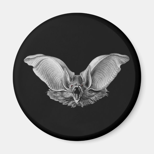 Vampire ? Bat ? Magnet (Vorne)