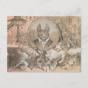 Vampire Bat Portrait Postkarte
