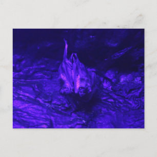 Vampire Bat Postkarte