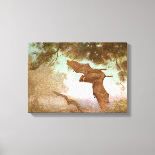 Vampire Bats von CE Swan, Vintage Wildtiere Leinwanddruck (Vorderseite)