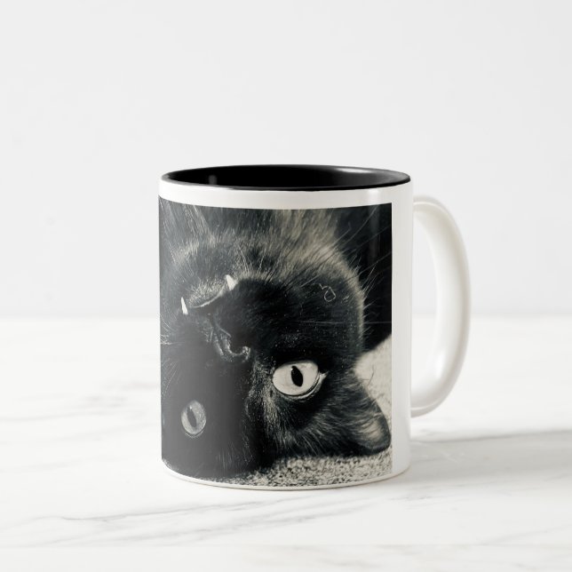 Vampire Cat Zweifarbige Tasse (VorderseiteRechts)