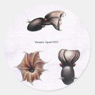 Vampire-Tintenfisch-Aufkleber Runder Aufkleber