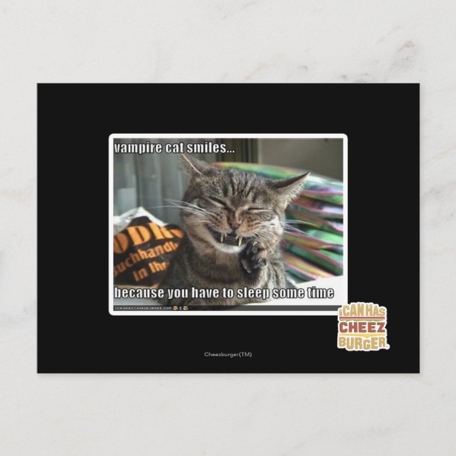 Vampirkatze lächelt postkarte (Vorderseite)