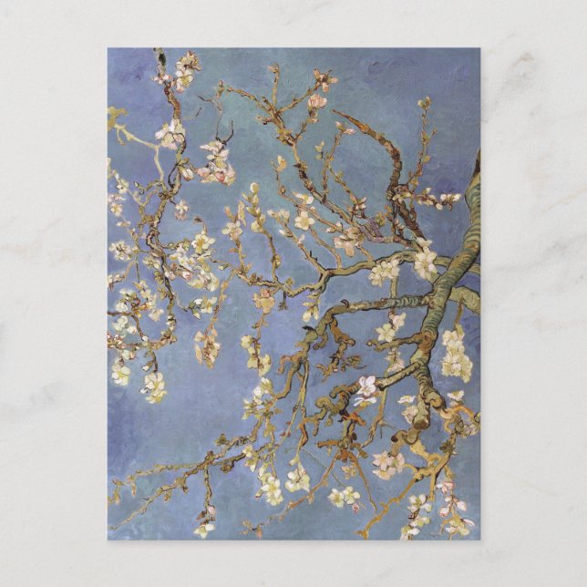 Van Gogh Almond Blossom Postkarte (Vorderseite)