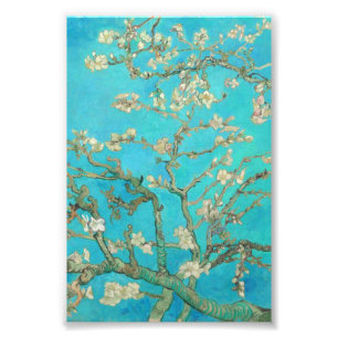 Van Gogh Almond Blossoms Fotodruck