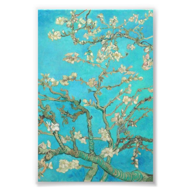 Van Gogh Almond Blossoms Fotodruck (Vorne)
