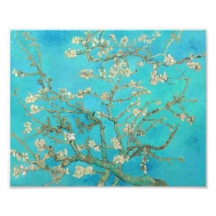 Van Gogh Almond Blossoms Fotodruck