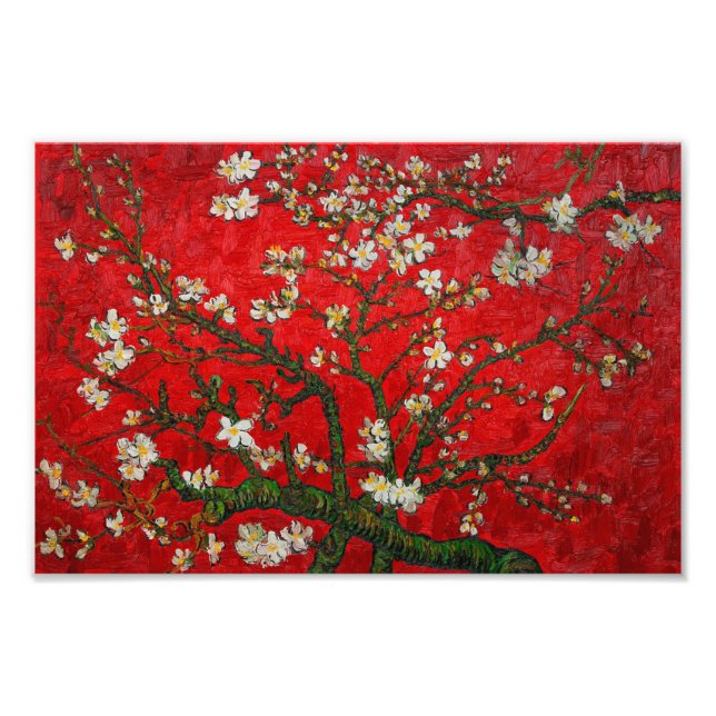Van Gogh Almond Blossoms Red Fotodruck (Vorne)