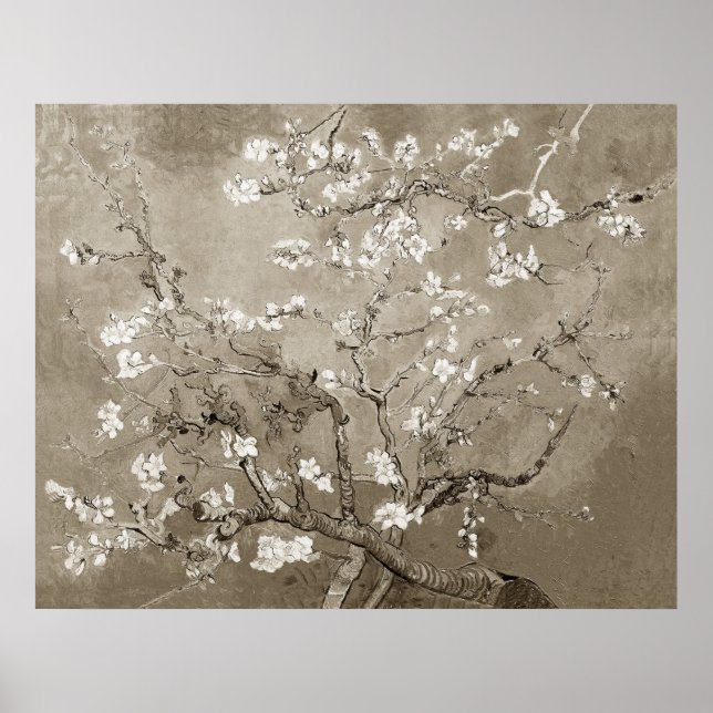 Van Gogh Almond Branches in Bloom - Sepia Poster (Vorne)