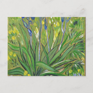 Van Gogh art Irises, Acrylwiedergabe Postkarte