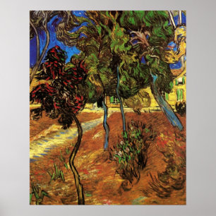 Van Gogh Bäume im Garten, Saint Paul Hospital Poster