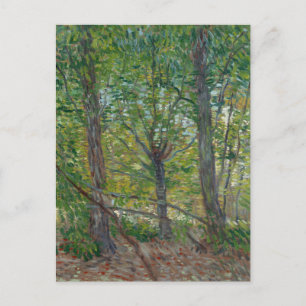 Van Gogh Bäume und Unterholz(F307) Fine Art Postkarte