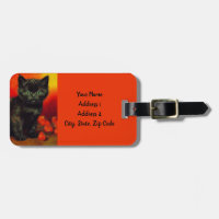 Van Gogh Black Kitten