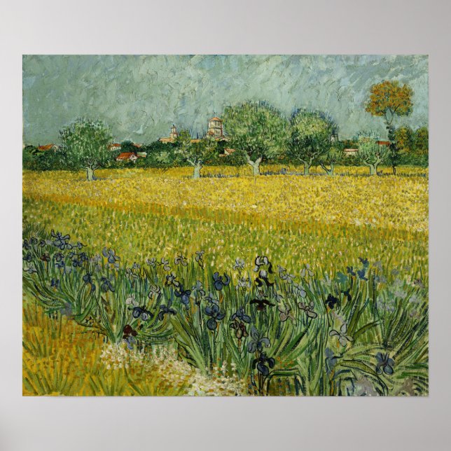 Van Gogh - Feld mit Blume in Arles Poster (Vorne)
