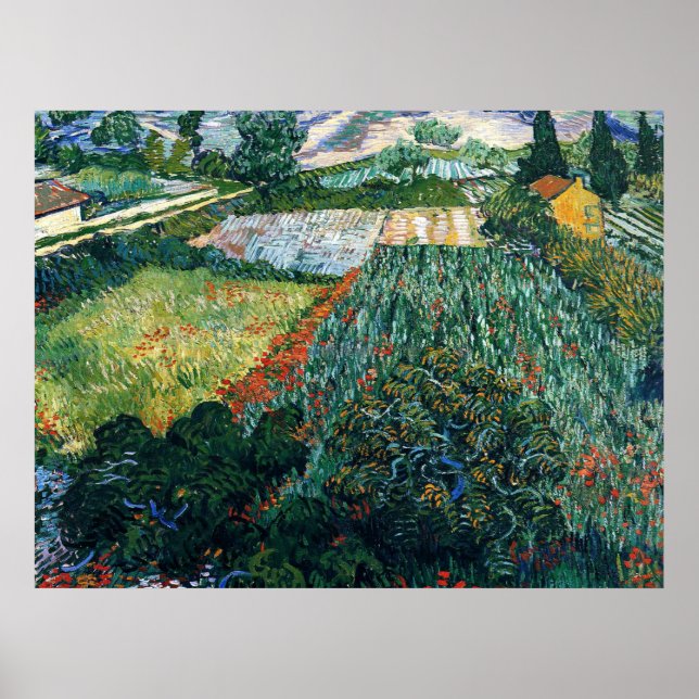 Van Gogh - Feld mit Pflücken Poster (Vorne)