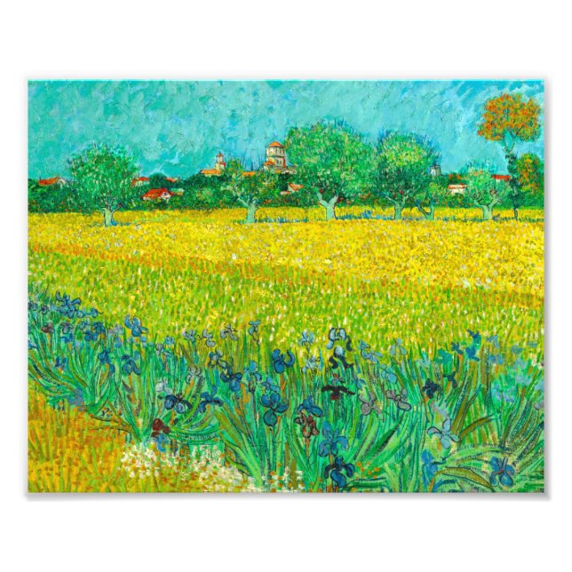 Van Gogh Field mit Irische in der Nähe von Arles Fotodruck (Vorne)