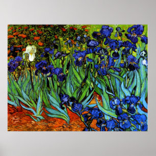 Van Gogh - Ire Poster