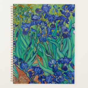 Van Gogh Irises