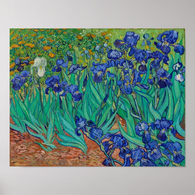 Van Gogh Irises Bloral Painting Poster (Vorne)