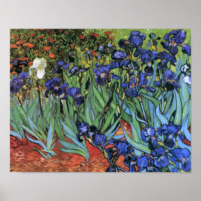 Van Gogh Irises (F608) Vintage Kunstkunst Poster (Vorne)