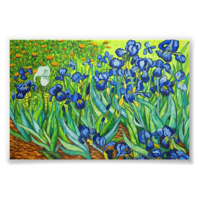 Van Gogh Irises Fotodruck (Vorne)