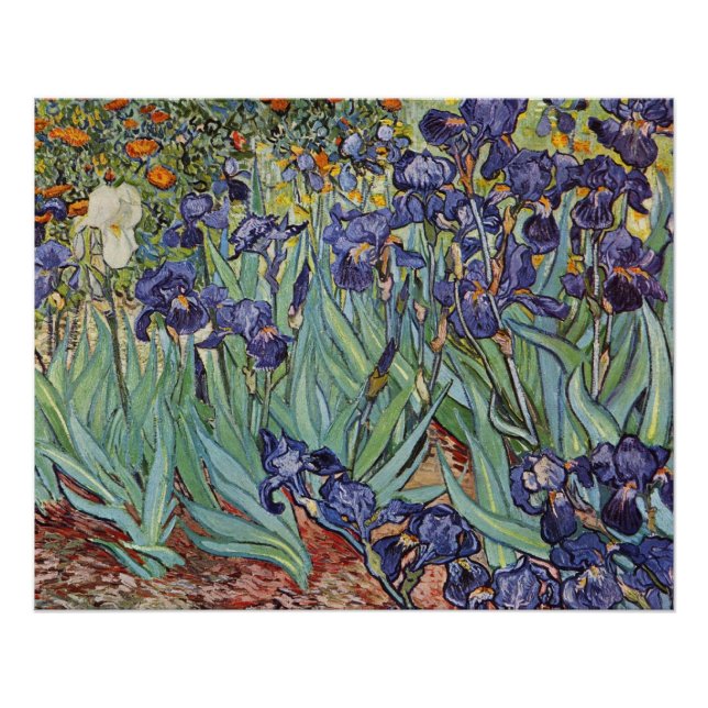 Van Gogh Irises Impressionist Painting Poster (Vorderseite)