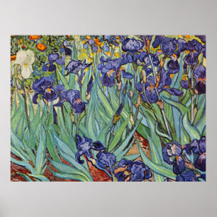 Van Gogh Irises Impressionist Painting Poster