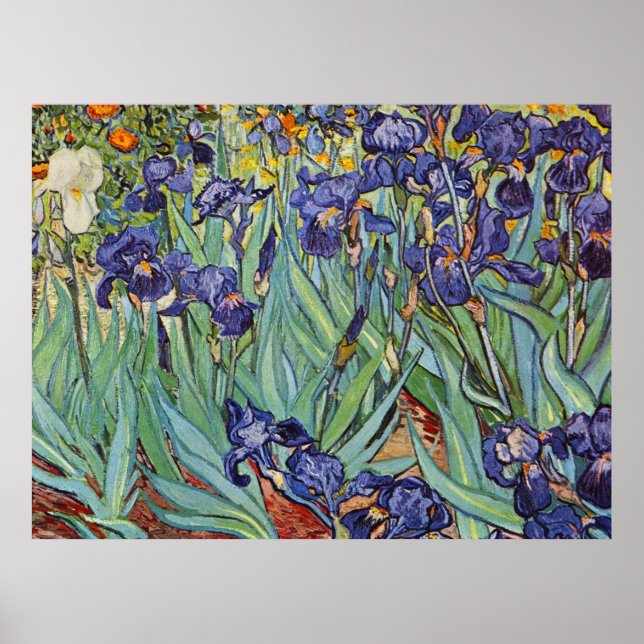 Van Gogh Irises Impressionist Painting Poster (Vorne)