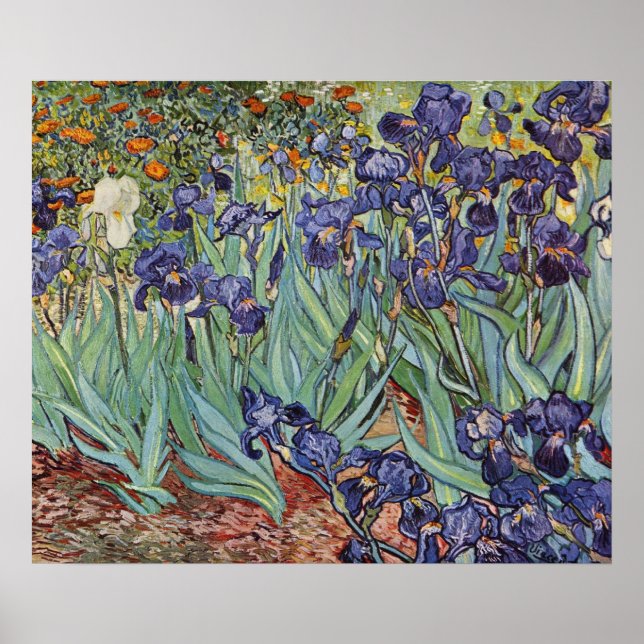 Van Gogh Irises Impressionist Painting Poster (Vorne)