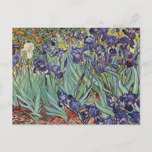 Van Gogh Irises Impressionist Painting Postkarte (Vorderseite)