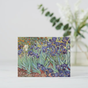 Van Gogh Irises Impressionist Painting Postkarte