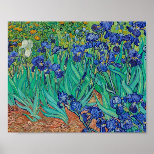 Van Gogh Irises Painting Poster (Vorne)