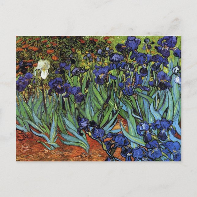 Van Gogh Irises Postcard Postkarte (Vorderseite)