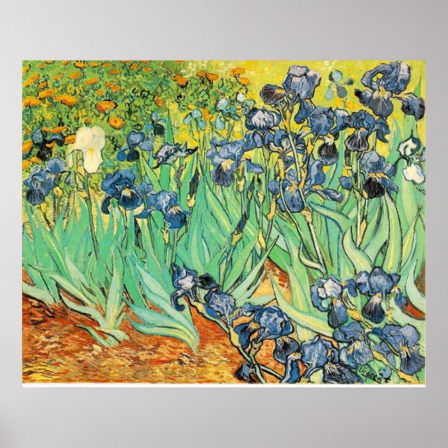 Van Gogh Irises Poster (Vorne)