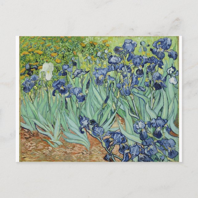 Van Gogh Irises Postkarte (Vorderseite)