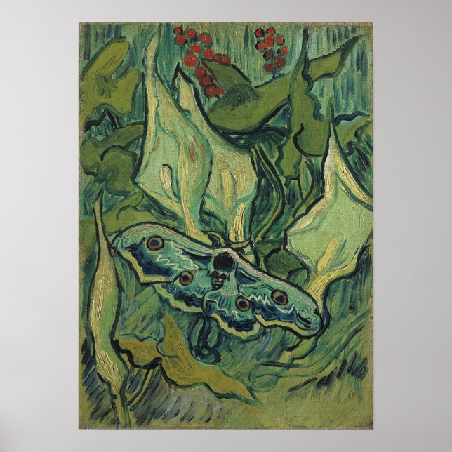 Van Gogh - Kaiser Moth Poster (Vorne)