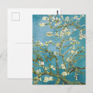Van Gogh Mandelblüten - Klassisches Blau Kunst Postkarte
