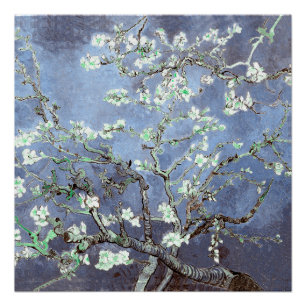 Van Gogh Mandelblüten Stahlblau Poster