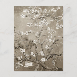 Van Gogh Mandelzweige in Blüte - Sepia Postkarte