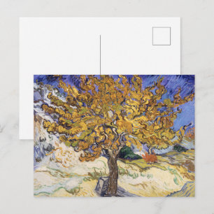 Van Gogh Maulbeerbaum Gelbe Spirale Kunst Postkarte