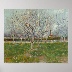 Van Gogh - Obstgarten in Blossom (Pflaumen) Poster