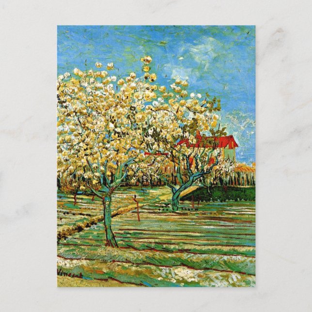 Van Gogh - Obstgarten in Blossom Postkarte (Vorderseite)
