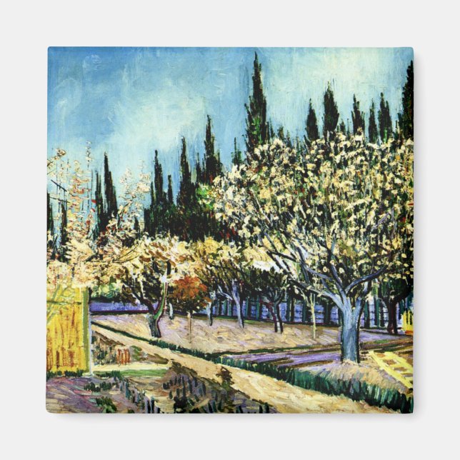 Van Gogh - Obstgarten umgeben von Zypressen Magnet (Vorne)