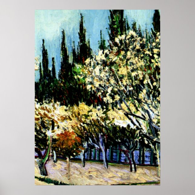 Van Gogh - Obstgarten umgeben von Zypressen Poster (Vorne)