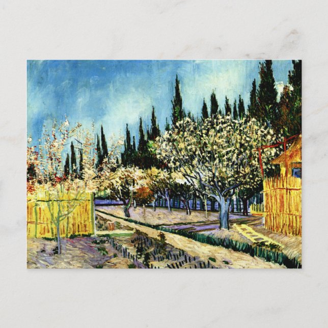 Van Gogh - Obstgarten umgeben von Zypressen Postkarte (Vorderseite)