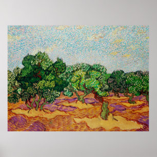 Van Gogh - Olivenbäume,  Poster