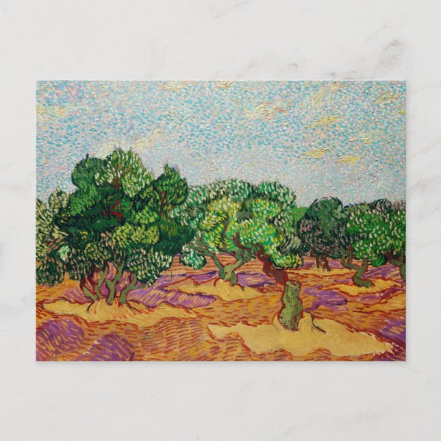 Van Gogh - Olivenbäume, Postkarte (Vorderseite)