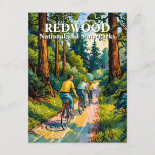 Van Gogh Redwood National Park Familien-Radtour Postkarte
