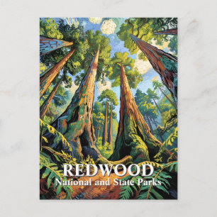 Van Gogh Redwoods Park California Poster Stil Postkarte